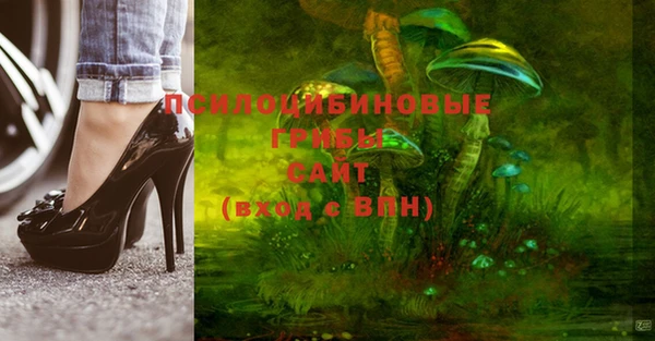 MESCALINE Гусев