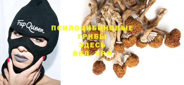 MESCALINE Гусиноозёрск