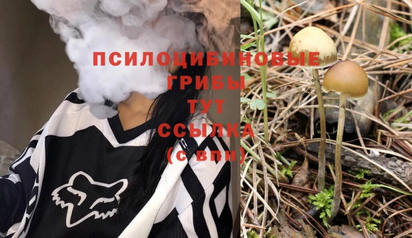 MESCALINE Гусев
