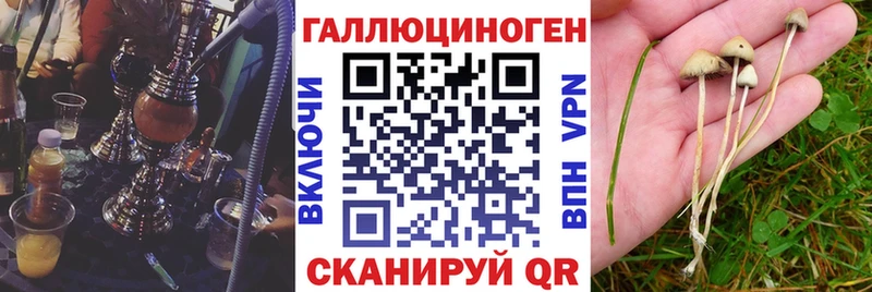Псилоцибиновые грибы Cubensis  купить наркотик  МЕГА рабочий сайт  Олёкминск 